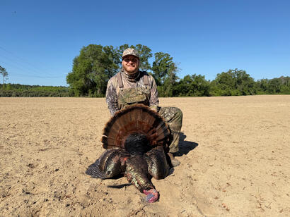 Turkey Hunt Turkey Hunt