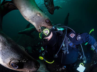 Diving Hornby Island, BC Diving Hornby Island, BC